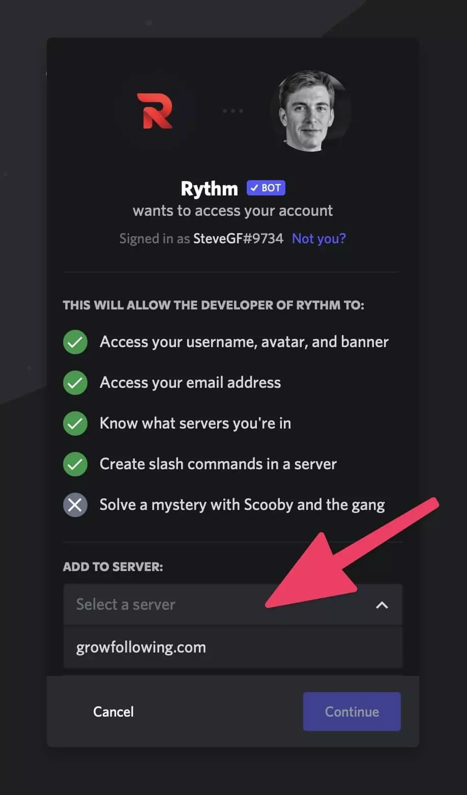 allow Rythm bot to access Discord server